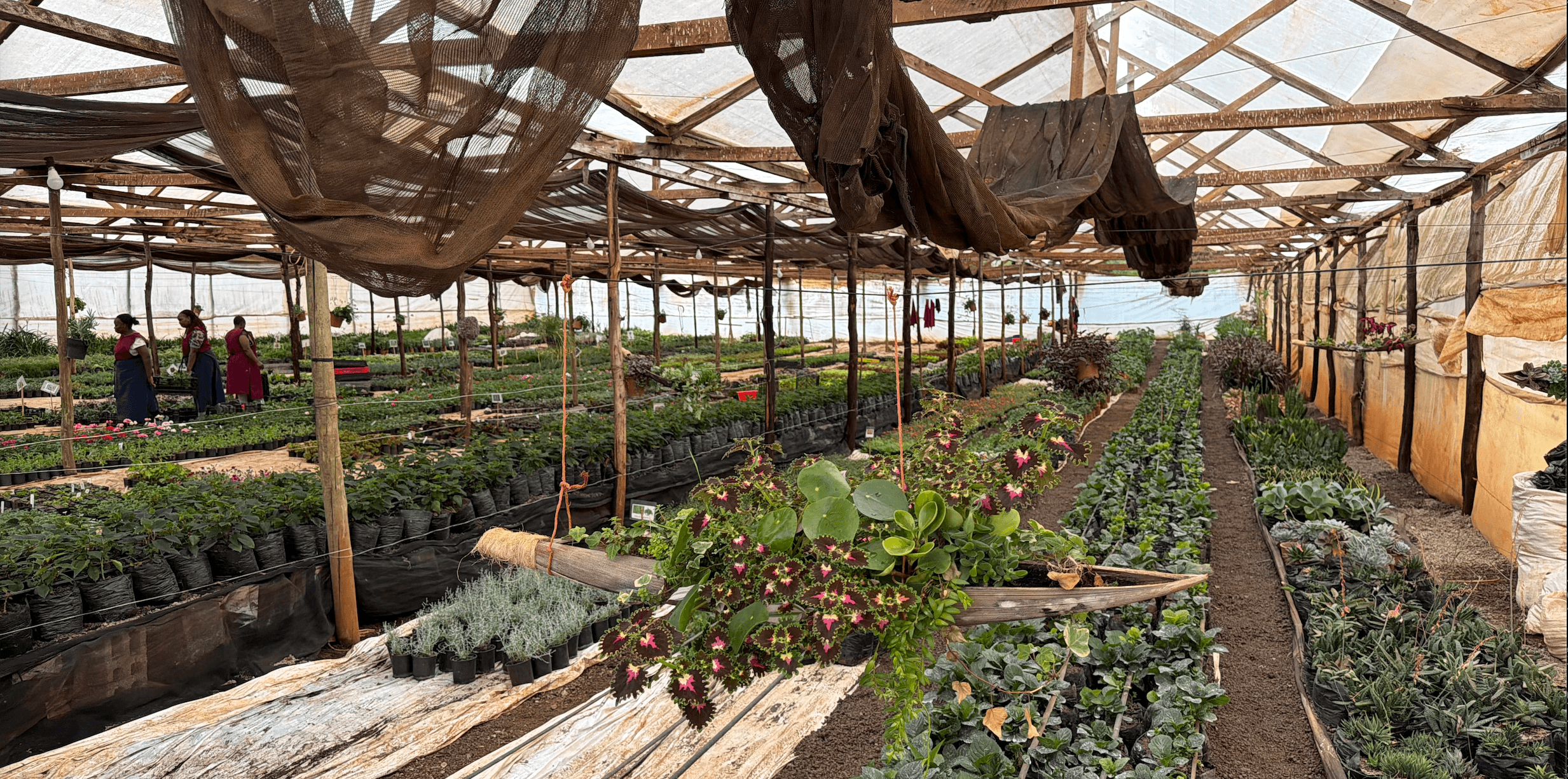 Bloom Botanical Studio